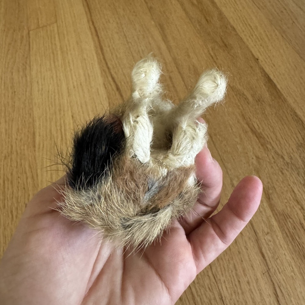 Realistic Looking 5.5" Howling Wolf Made With Rabbit Fur - Picture 5 of 6